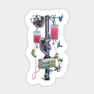 Two Sloths on an IV Pole Sticker